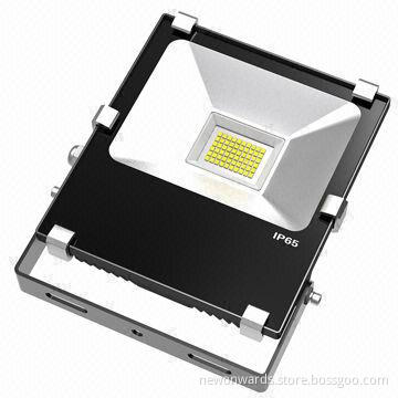 30W LED Floodlight with Cree Lighting Source